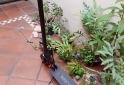 Otros - Monopatín eléctrico - En Venta