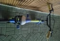 Deportes - Vendo bicicleta 16 - En Venta