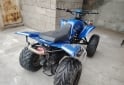 Cuatris y UTVs - Guerrero Mapuche 2010 111111Km - En Venta