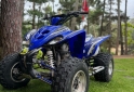 Cuatris y UTVs - Yamaha RAPTOR 350 2006 9999Km - En Venta
