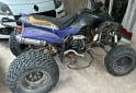 Cuatris y UTVs - Panther Wr250 2008  111Km - En Venta