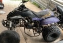 Cuatris y UTVs - Panther Wr250 2008  111Km - En Venta