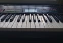 Instrumentos Musicales - Casio CTK 3400 SK - En Venta