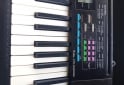 Instrumentos Musicales - Casio CTK 3400 SK - En Venta