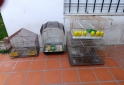 Otros - Jaulas canario conejos - En Venta