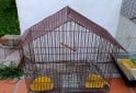 Otros - Jaulas canario conejos - En Venta