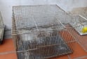 Otros - Jaulas canario conejos - En Venta