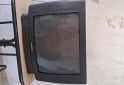Hogar - TV color 21 pulagadas - En Venta
