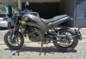 Motos - Benelli LEONCINO 250 2024 Nafta 7600Km - En Venta