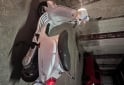 Motos - Vespa Vxl 150 2022 Nafta 11300Km - En Venta
