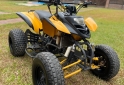 Cuatris y UTVs - Panther WR 250cc 2009 111Km - En Venta