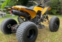 Cuatris y UTVs - Panther WR 250cc 2009 111Km - En Venta
