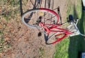Deportes - Vendo bicicleta marca Olmo mujer - En Venta
