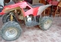 Cuatris y UTVs - Can Am 110 2010 111Km - En Venta