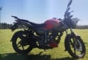 Motos - Bajaj Ns 2024 Nafta 12500Km - En Venta