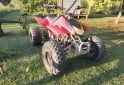 Cuatris y UTVs - Motomel Lynx 110 2010  111111Km - En Venta