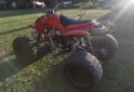 Cuatris y UTVs - Motomel Lynx 110 2010  111111Km - En Venta
