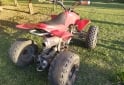 Cuatris y UTVs - Motomel Lynx 110 2010  111111Km - En Venta
