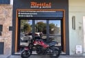 Motos - Benelli LEONCINO 250 2020 Nafta 14450Km - En Venta