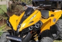 Cuatris y UTVs - Can Am Renegade 500 2013 10000Km - En Venta