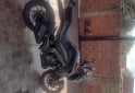 Motos - Bajaj Dominar 400 2025 Nafta 2500Km - En Venta