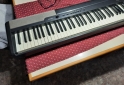 Instrumentos Musicales - Piano Casio cdp 100 - En Venta