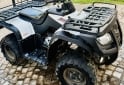 Cuatris y UTVs - Zanella G force 2015  111111Km - En Venta