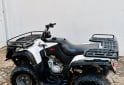 Cuatris y UTVs - Zanella G force 2015  111111Km - En Venta