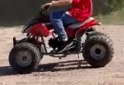 Cuatris y UTVs - Motomel 110 2025  111111Km - En Venta