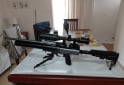 Deportes - Rifle AEA prochallenger 6.35 - En Venta