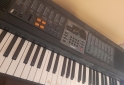 Instrumentos Musicales - Teclado Casio, impecable - En Venta