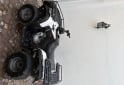 Cuatris y UTVs - Zanella Gforce 250 2016  120Km - En Venta