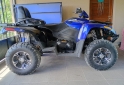 Cuatris y UTVs - Otra marca ARTIC CAT 700 2015 50Km - En Venta
