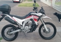 Motos - Guerrero GXR 300 RALLY 2024 Nafta 6600Km - En Venta