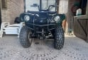 Cuatris y UTVs - Yamaha grizzly 125 AT 2009  111Km - En Venta