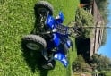 Cuatris y UTVs - Yamaha BANSHEE 350cc 2T 2001  111111Km - En Venta
