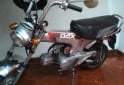 Motos - Honda dax 1993 Nafta 56000Km - En Venta