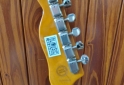 Instrumentos Musicales - Guitarra Telecaster SX - En Venta