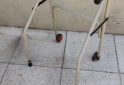 Otros - Andador para adultos - En Venta