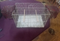 Otros - 2 Jaulas para pajaros - En Venta