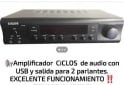 Electr�nica - Amplificador profesional CiCLOS de audio. - En Venta
