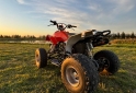Cuatris y UTVs - Zanella Fx250 2010  1Km - En Venta