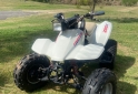 Cuatris y UTVs - Honda Modelo 98 1998  20Km - En Venta