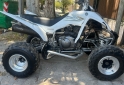 Cuatris y UTVs - Yamaha Raptor 350 2006  10Km - En Venta