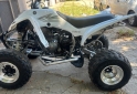 Cuatris y UTVs - Yamaha Raptor 350 2006  10Km - En Venta