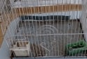 Otros - Jaulas para pajaros de alambre - En Venta