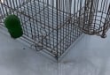 Otros - Jaulas para pajaros de alambre - En Venta
