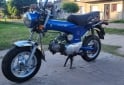 Motos - Honda Dax 1996 Nafta 5000Km - En Venta