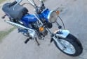 Motos - Honda Dax 1996 Nafta 5000Km - En Venta