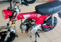Motos - Mondial Dax 70 2018 Nafta 400Km - En Venta